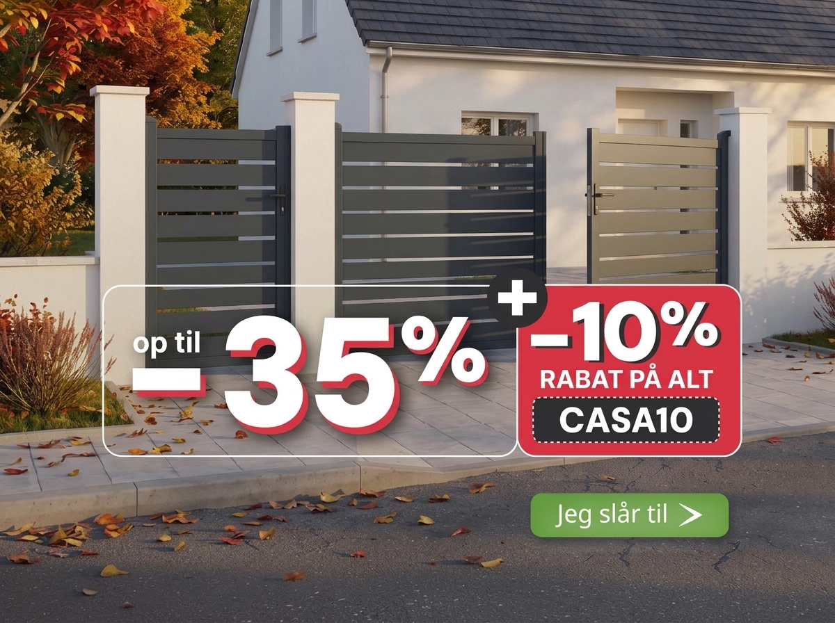 Bons plans